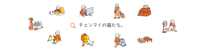 チェンマイの猫たち
